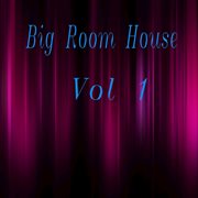 Big room house, vol. 1 cover image