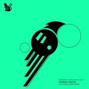 Eternal truths cover image