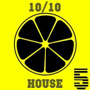 10/10 house, vol. 5 cover image
