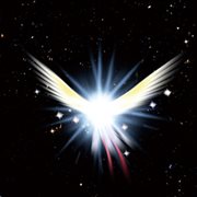 Space bird cover image