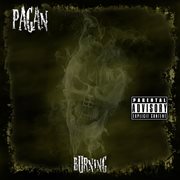 Burning (remixes) cover image