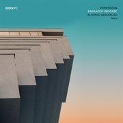 Simulated universe cover image