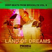 Deep beats from brooklyn, vol.9 cover image