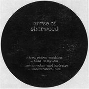 Curse of sherwood cover image