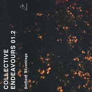Collective endeavours 01.2 cover image