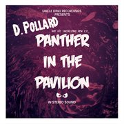 Panther in the pavilion cover image
