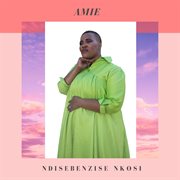 Ndisebenzise nkosi cover image