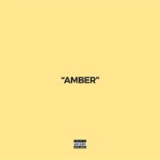 Amber cover image