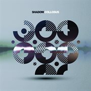 Shadow Collosus cover image