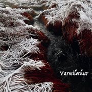 Varmilækur cover image