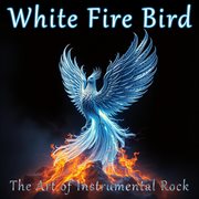 The Art Of Instrumental Rock cover image