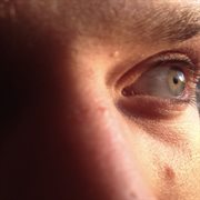 Fidelity cover image