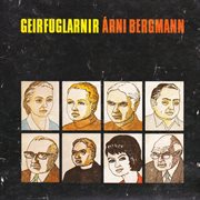 Árni bergmann cover image