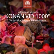Konan við 1000° cover image
