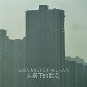 Grey mist of wuhan cover image