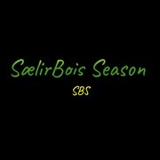 Sælirbois season cover image