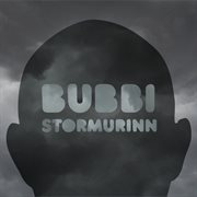 Stormurinn cover image