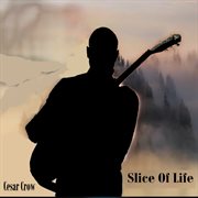 Slice of life cover image