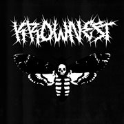 Dying soul cover image