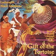 Gift of the tortoise : a musical journey through Southern Africa cover image