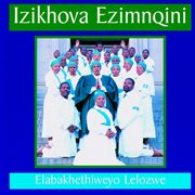 Elabakhethiweyo lelozwe cover image