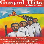 Gospel hits, vol. 2 cover image