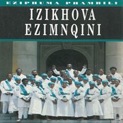 The best of: eziphuma phabile cover image