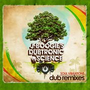 Soul vibrations dub remixes cover image