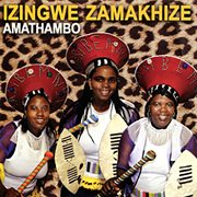 Amathambo cover image