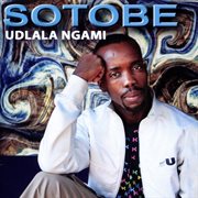 Udlala Ngami cover image