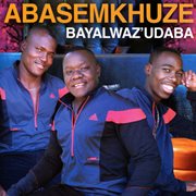 Bayalwaz'udaba cover image