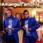 Ningabokwenzani Nje cover image