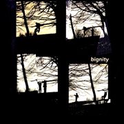 Bignity cover image