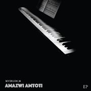 Amazwi Amtoti cover image