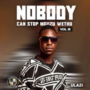 Nobody Can Stop Mguzu Wethu, Vol. 3 cover image