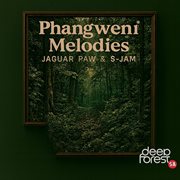 Phangweni Melodies cover image