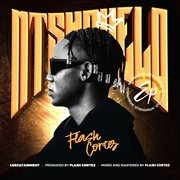 Ntshovelo cover image