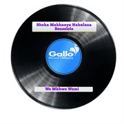 We mkhwe wami cover image