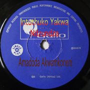 Amadoda akwamkoneni cover image