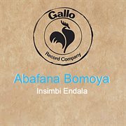 Insimbi endala cover image