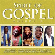 Spirit of gospel, vol. 3 cover image