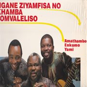 Amathambo enkomo yami cover image