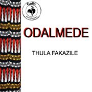 Thula Fakazile cover image