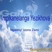 Ngashiy' Izono Zami cover image
