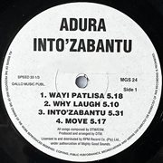 Into'Zabantu cover image