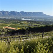 Kêrels Van Die Pêrel