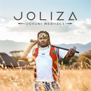 Ushuni We Bhaca cover image