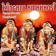 Ngayisilwane ebantwini cover image