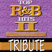 Dubble trubble tribute to top r&b hits, vol 2 cover image