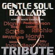 Dubble trubble tribute - gentle soul ballads cover image